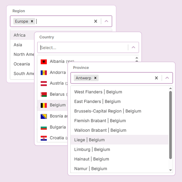 Importer Search with Filtering by Country and Province