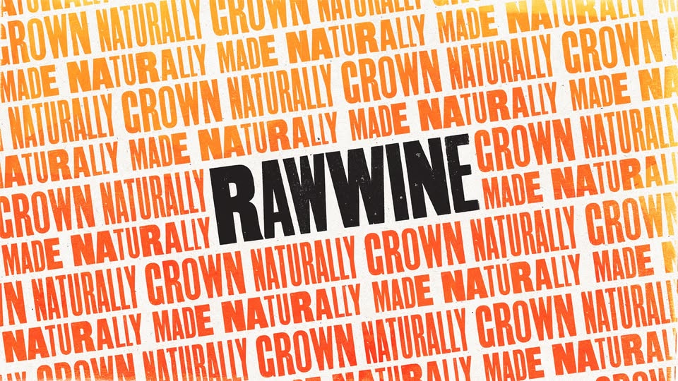 Raw Wine Fair