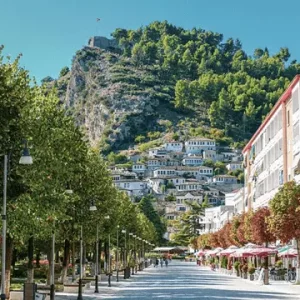 Wine Importers and Distributors Albania