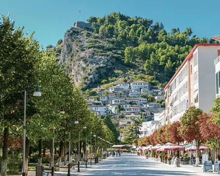 Wine Importers and Distributors Albania