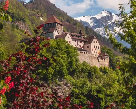 Wine Importers and Distributors Liechtenstein