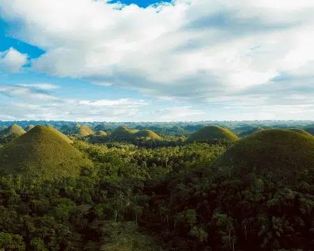 Wine importers and distributors Philippines