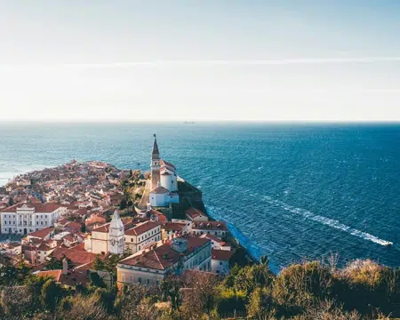 Wine importers and distributors Slovenia